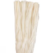 Artículo Cinta esqueleto de fibras naturales vegetales decoración cinta natural 180g