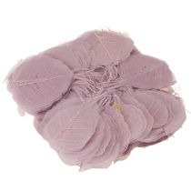 Artículo Hojas de Bodhi esqueletizadas para decoraciones creativas