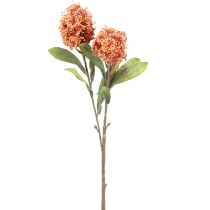 Artículo Skimmie Skimmia Japonica Flores Artificiales Naranja DryLook L59cm