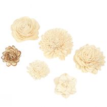 Artículo Sola Flowers Wood Flores de madera Decoración Mix Crema 6-11cm 12-15 piezas