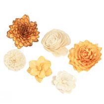 Artículo Sola flores de madera flores decorativas de madera mezcla naranja 6-11cm 12-15 piezas