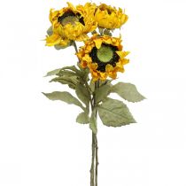 Artículo Girasoles artificiales Girasol Deco Drylook L60cm 3pcs