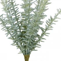 Sprengerie Ornamentales Espárragos Plantas Artificiales Verde 23cm 4pcs