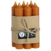 Artículo Velas cónicas vela de cera corta en caramelo 21x110mm 6 piezas