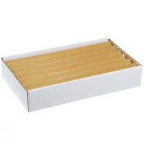Artículo Velas cónicas velas lisas miel 21×240mm 12uds