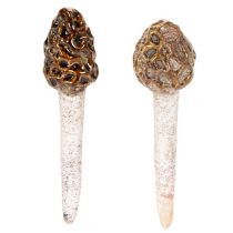 Artículo Estaca decorativa artificial con forma de seta morilla para macetas y mesa, 13 cm, 2 unidades.