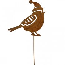 Artículo Estaca de jardín pájaro con sombrero decoración pátina 12cm 6uds