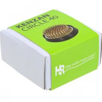 Artículo Erizo de flores erizo enchufable Kenzan Ikebana latón redondo Ø 40mm