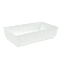 Artículo Cuenco de enchufe Lara 15cm x 8cm x 4cm 10uds