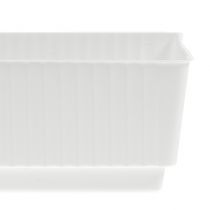 Bandeja de enchufe espuma húmeda 23 x 8 x 4,5 blanco 10 piezas