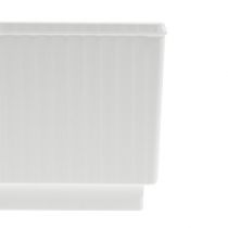 Cubo para espuma floral 6.5cm blanco 20pcs