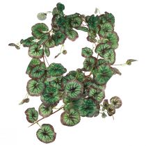 Artículo Guirnalda decorativa de saxífraga artificial verde Saxifraga 152cm