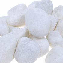 Artículo Guijarros de río Blanco Natural 3-5cm 1kg