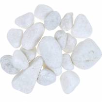 Artículo Guijarros de río Blanco Natural 3-5cm 1kg