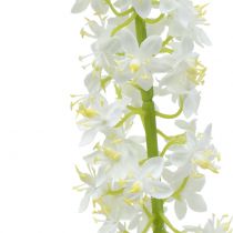 Artículo Cola del desierto blanco 106cm
