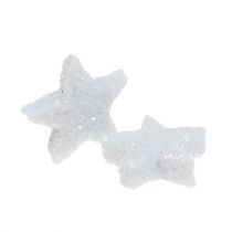 Artículo Star Glitter 1,5cm para espolvorear blanco 144uds