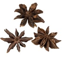 Artículo Artículos de artesanía de decoración de anís estrellado decoración natural anís seco 500g