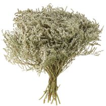 Artículo Lavanda marina Statice Tatarica flores secas naturales 2 kg
