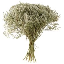 Artículo Flores secas de lavanda de playa Statice 2 kg decoración natural