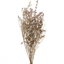 Artículo Lila Playa Limonium Flores Secas Púrpura 70cm 50g