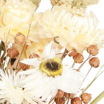 Artículo Ramo de flores secas flores de paja grano blanco 55cm