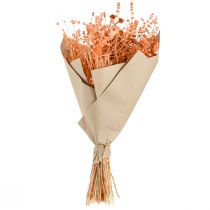 Artículo Ramo de flores secas boho, naranja y albaricoque, decorativo, 45 cm, 80 g
