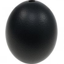 Artículo Decoración de huevos de avestruz soplada Decoración de Pascua negro Ø12cm H14cm