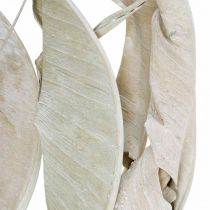 Strelitzia hojas lavadas blancas, secas 45-80cm 10 piezas