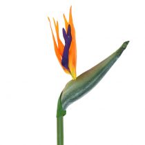 Artículo Strelitzia Ave del Paraíso flor artificialmente 98cm