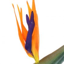 Strelitzia Ave del Paraíso flor artificialmente 98cm