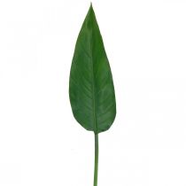 Strelitzia Loro Flor Hoja decorativa Strelitzia Hoja Verde L81cm