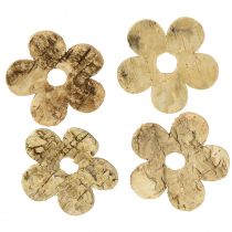 Artículo Decoración dispersa madera corteza flores abedul vintage Ø5cm 36 piezas