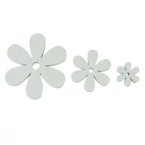 Artículo Decoración dispersa decoración de mesa de madera flores blancas Ø2cm–6cm 20 piezas