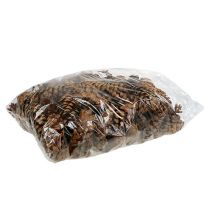 Artículo Conos estrobus 10-15cm pintados 100 piezas