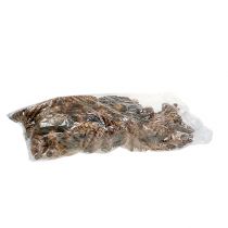 Artículo Conos estrobus 15 - 20cm pintados 100 piezas