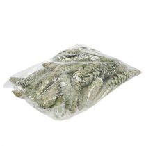 Artículo Conos Strobus decoración verde manzana blanco lavado 15-20cm 50 uds