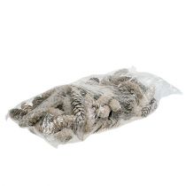 Artículo Conos Strobus 15cm - 20cm blanqueados 50 uds.