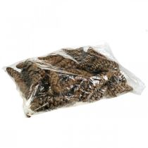 Artículo Piñas Pino blanco Strobus Natural Mixto 2,5kg