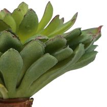 Artículo Planta Verde Artificial Echeveria Suculenta Verde Ø6cm 10,5cm