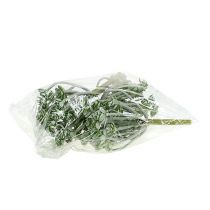 Artículo Suculenta Echeveria 17cm Gris 3uds