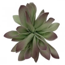 Verde suculento, burdeos 10cm 12pcs