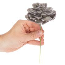 Artículo Flores artificiales de cera con forma de suculenta, decoración de 10 cm, 6 unidades.