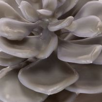 Artículo Flores artificiales de cera con forma de suculenta, decoración de 10 cm, 6 unidades.