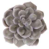 Artículo Flores artificiales de cera con forma de suculenta, decoración de 10 cm, 6 unidades.