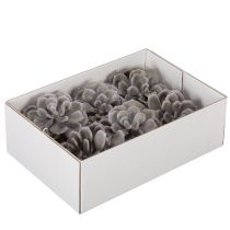 Artículo Flores artificiales de cera con forma de suculenta, decoración de 10 cm, 6 unidades.