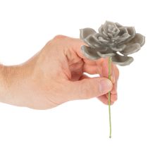 Artículo Suculenta artificial de cera, planta artificial con alambre de 8 cm, 8 unidades