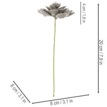 Artículo Suculenta artificial de cera, planta artificial con alambre de 8 cm, 8 unidades