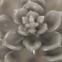 Artículo Suculenta artificial de cera, planta artificial con alambre de 8 cm, 8 unidades