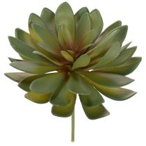 Artículo Suculenta artificial como planta decorativa, verde, 18 cm, 3 unidades
