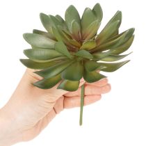 Artículo Suculenta artificial como planta decorativa, verde, 18 cm, 3 unidades
